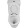 Унитаз-компакт безободковый BELBAGNO BB2149CP-TOR/BB2149T/BB870SC